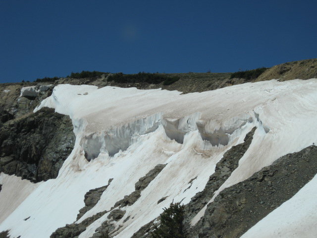 6-22-10  Hagerman Pass 020X.jpg