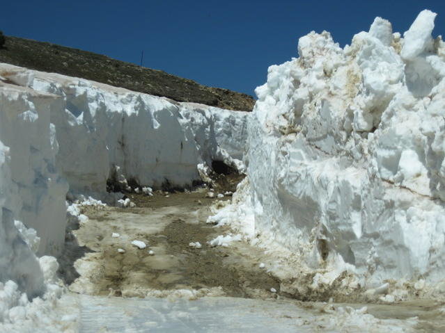 6-22-10  Hagerman Pass 020xx.jpg
