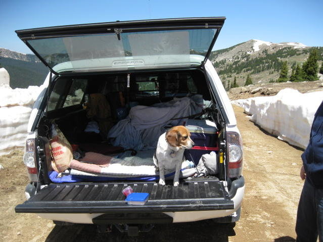 6-22-10  Hagerman Pass 032.jpg