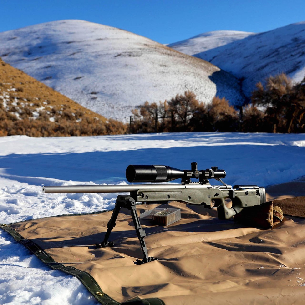 6.5X47_1_31_2021_a.jpg