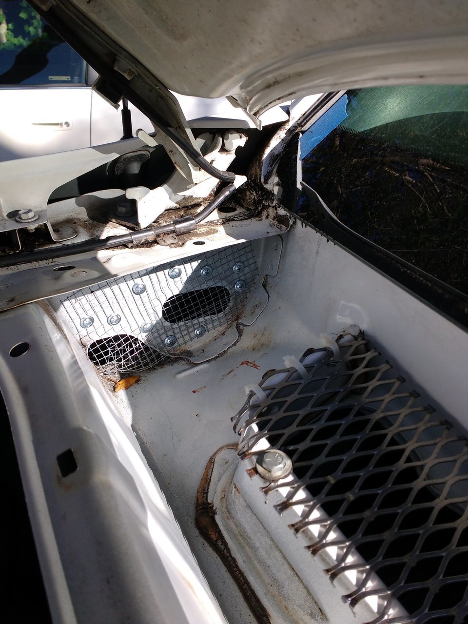 6. Wire cloth on side cowl drain.jpg