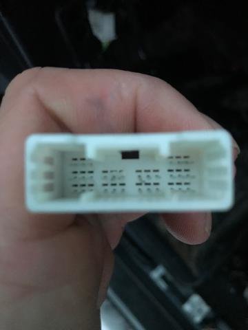 600298881.jpg