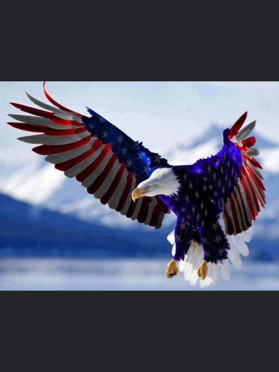 60265884-A9C2-445D-B5B4-E84883C62DC9.jpg
