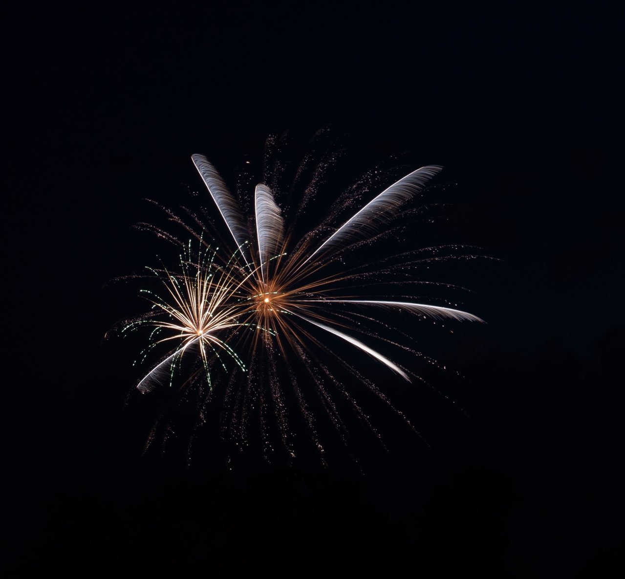 60676D28-6556-4967-84CF-B24489504271.jpg