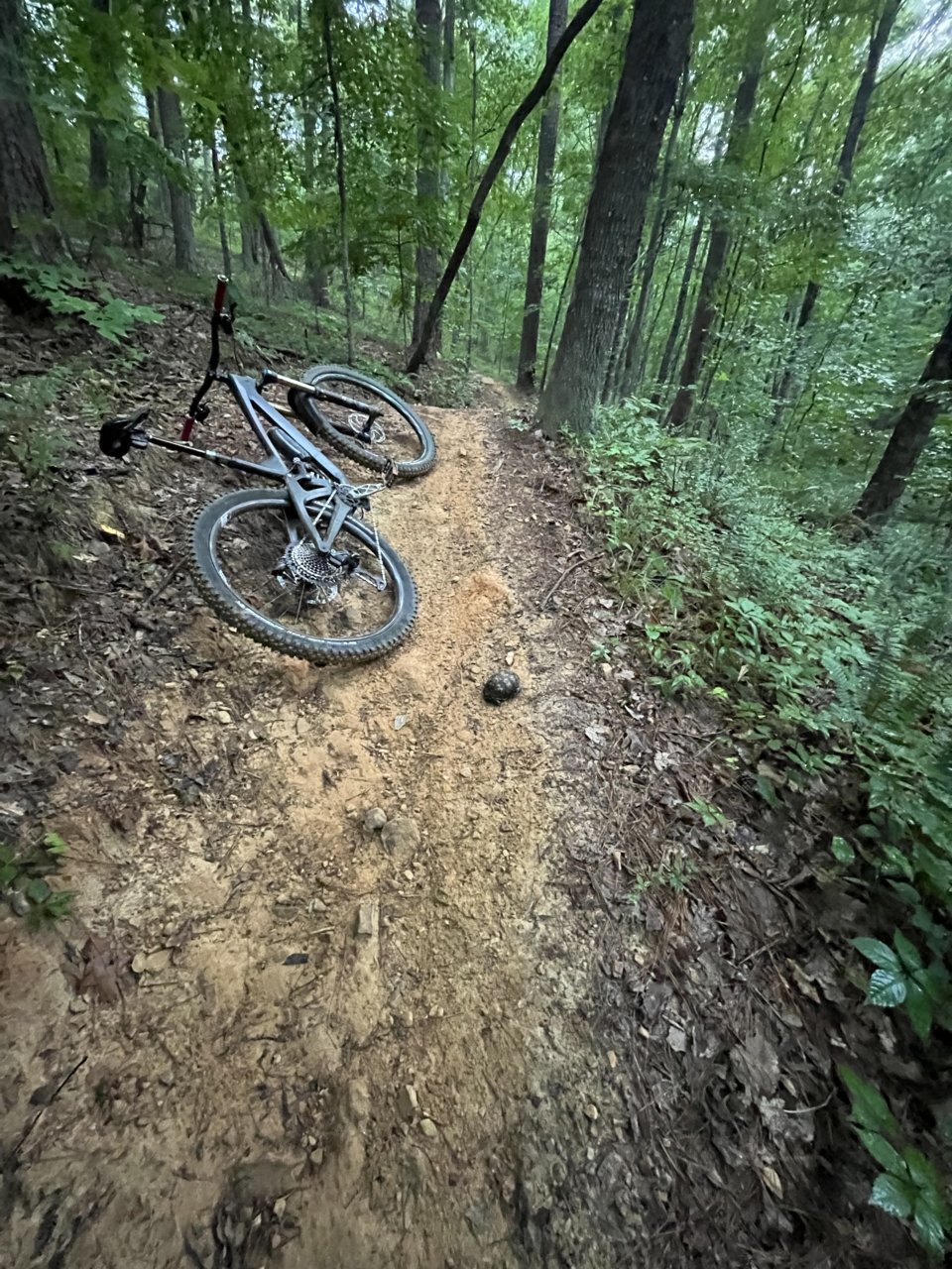 6070E4D8-5F9F-4021-9491-2A901A593C6D.jpg