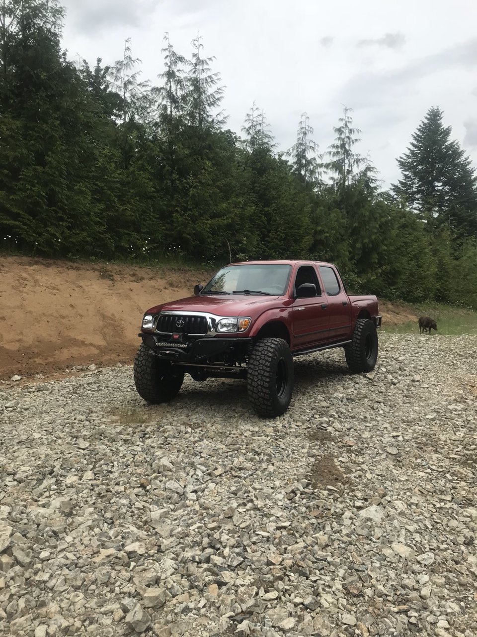 6090CEAE-4ED2-4AAE-9BA2-9B77EC0F7566.jpg