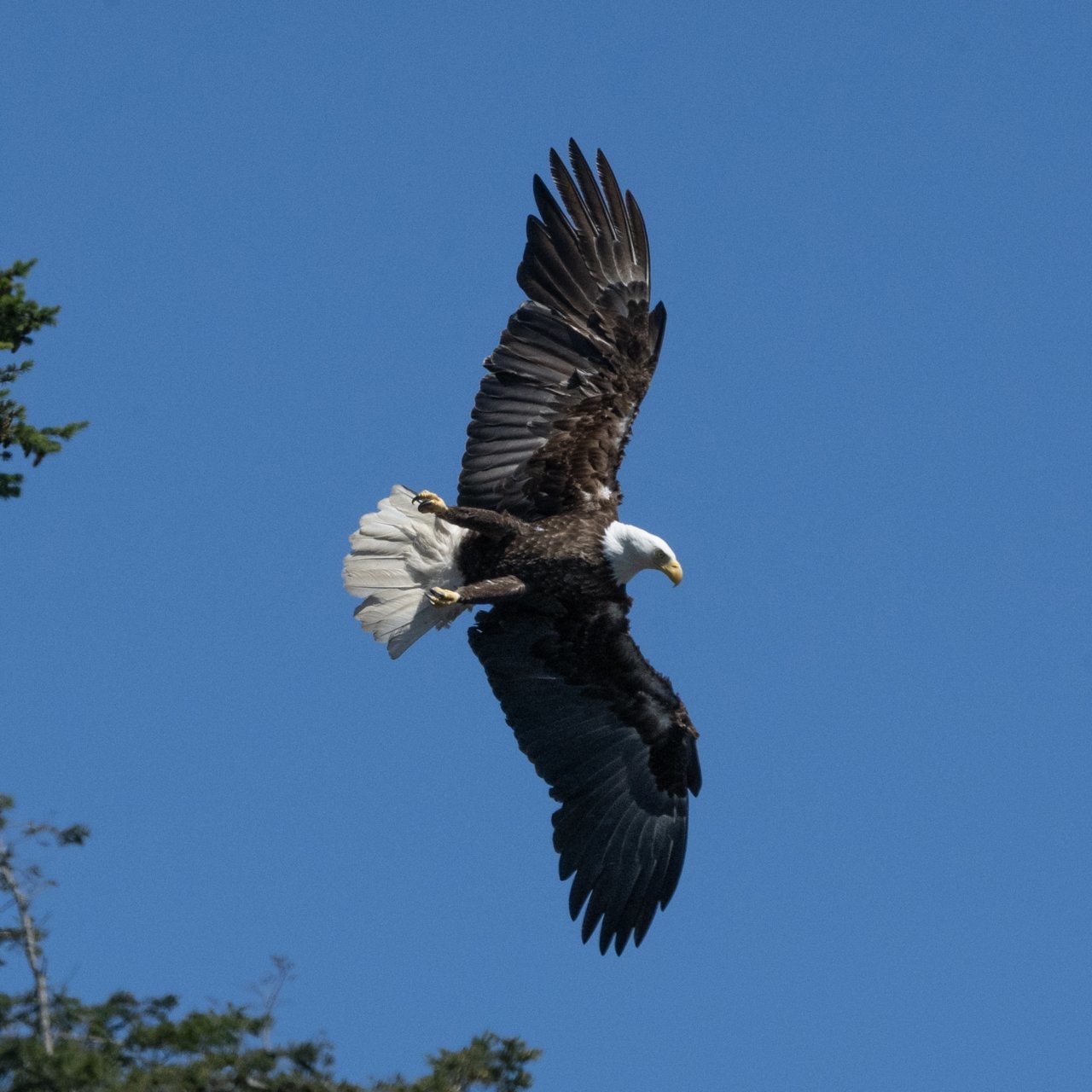 6113F142-D61B-4527-B1DE-093DC567CEF6.jpg