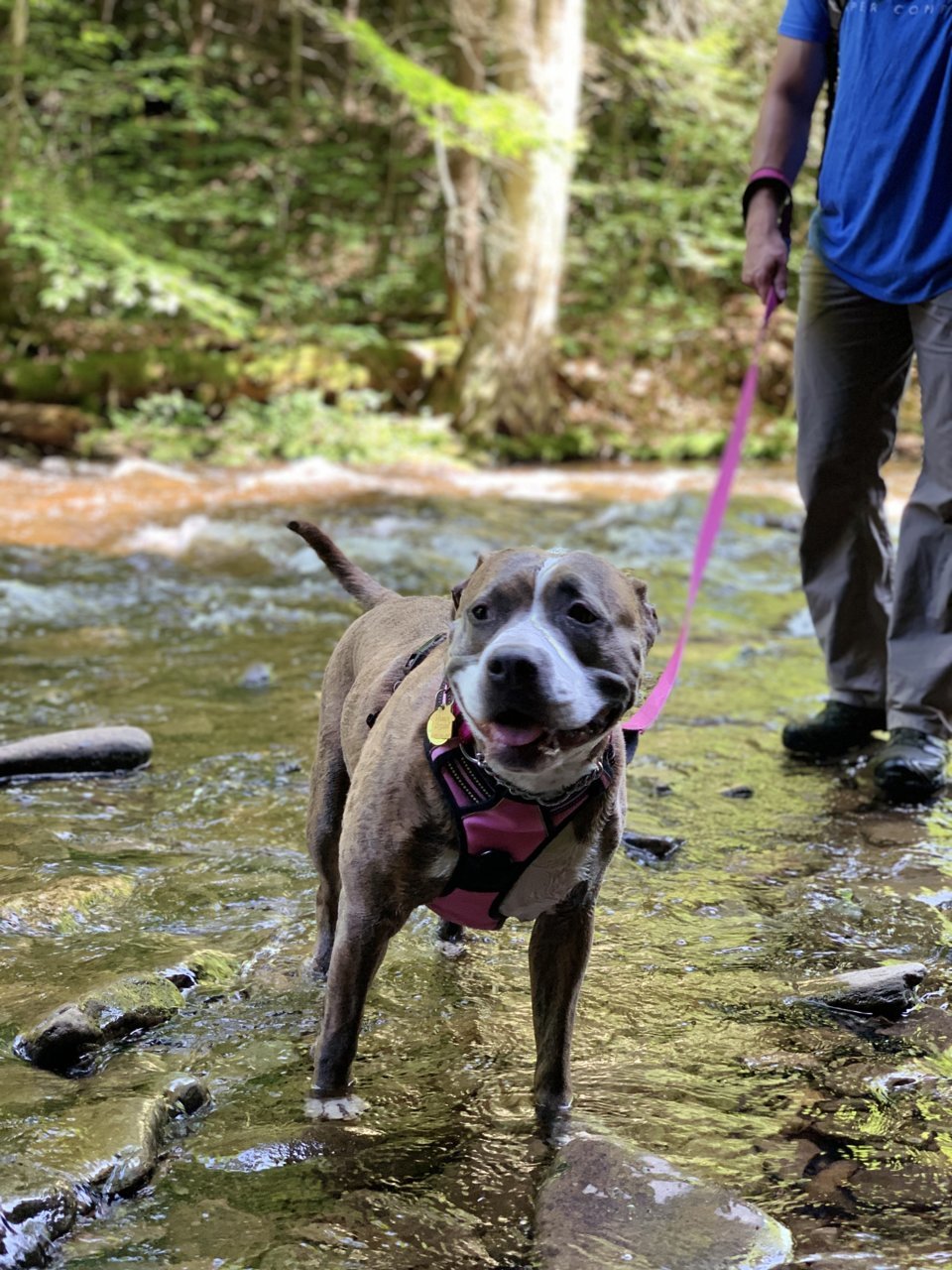 614230F8-62E3-446F-936A-EE0DA6B97D6C.jpg