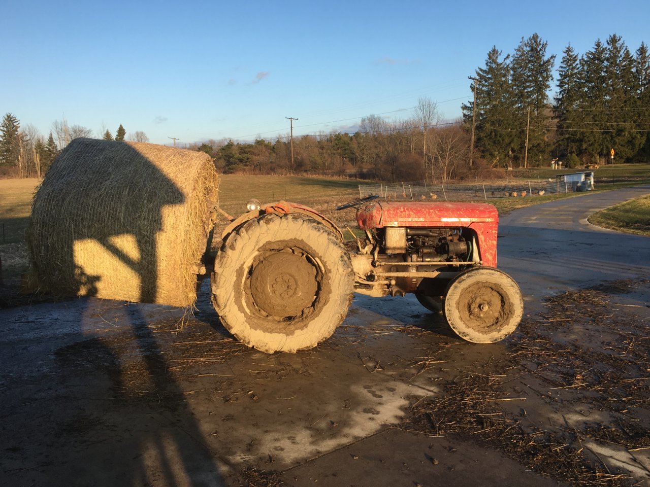 6165E017-5829-4AF0-9862-9E3E7DEC266F.jpg