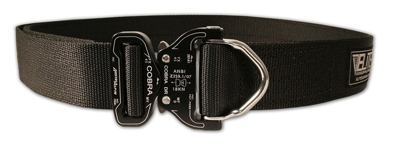 617jPpQIKzL__SL1000_.jpg