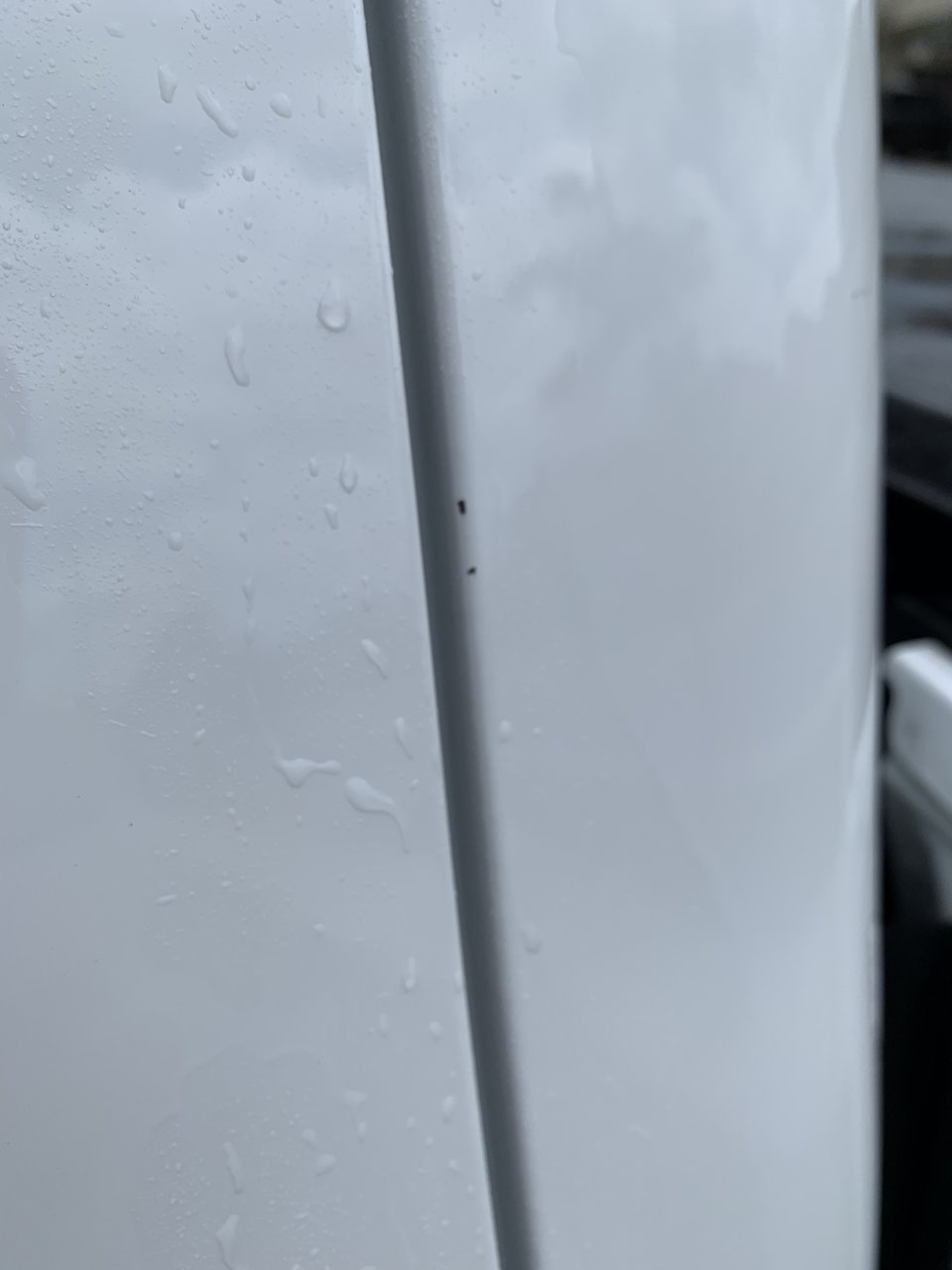61F1F985-E6D6-4A9A-9B4A-444F9C40D812.jpg