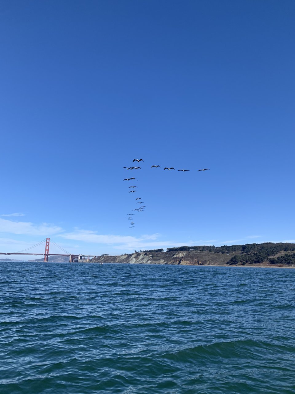 620F6278-AAA7-4F57-B226-57B8ADFEAE19.jpg