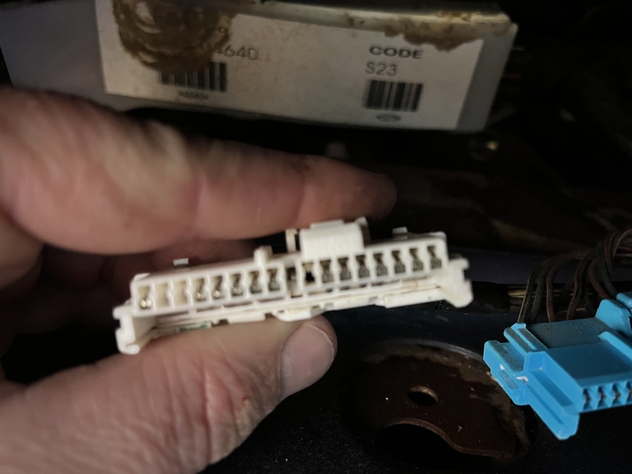 625D61EA-39F0-4E8A-B4E8-5F2D517421DB.jpg