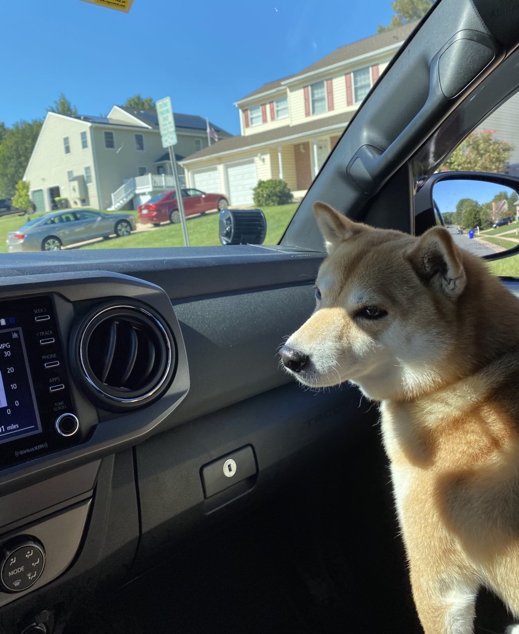 62F7919D-71E7-4FE3-A3BC-619430AC3ED8.jpg