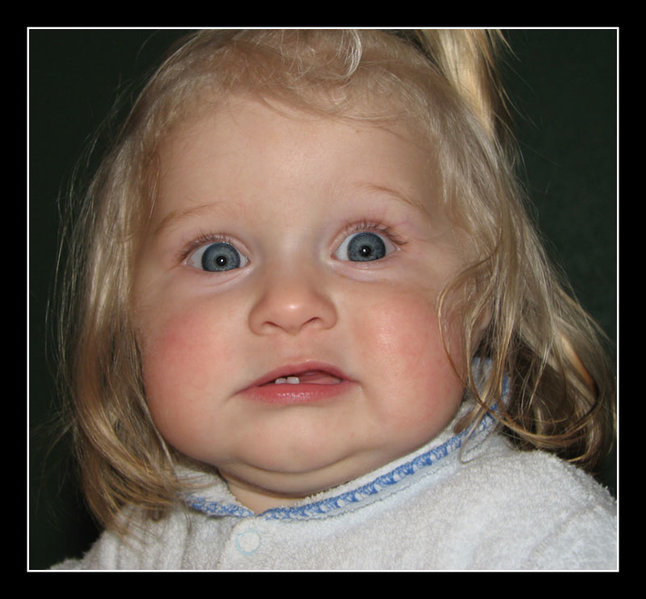63500204.saOp7D4o.AreYouKiddingMe[1].jpg
