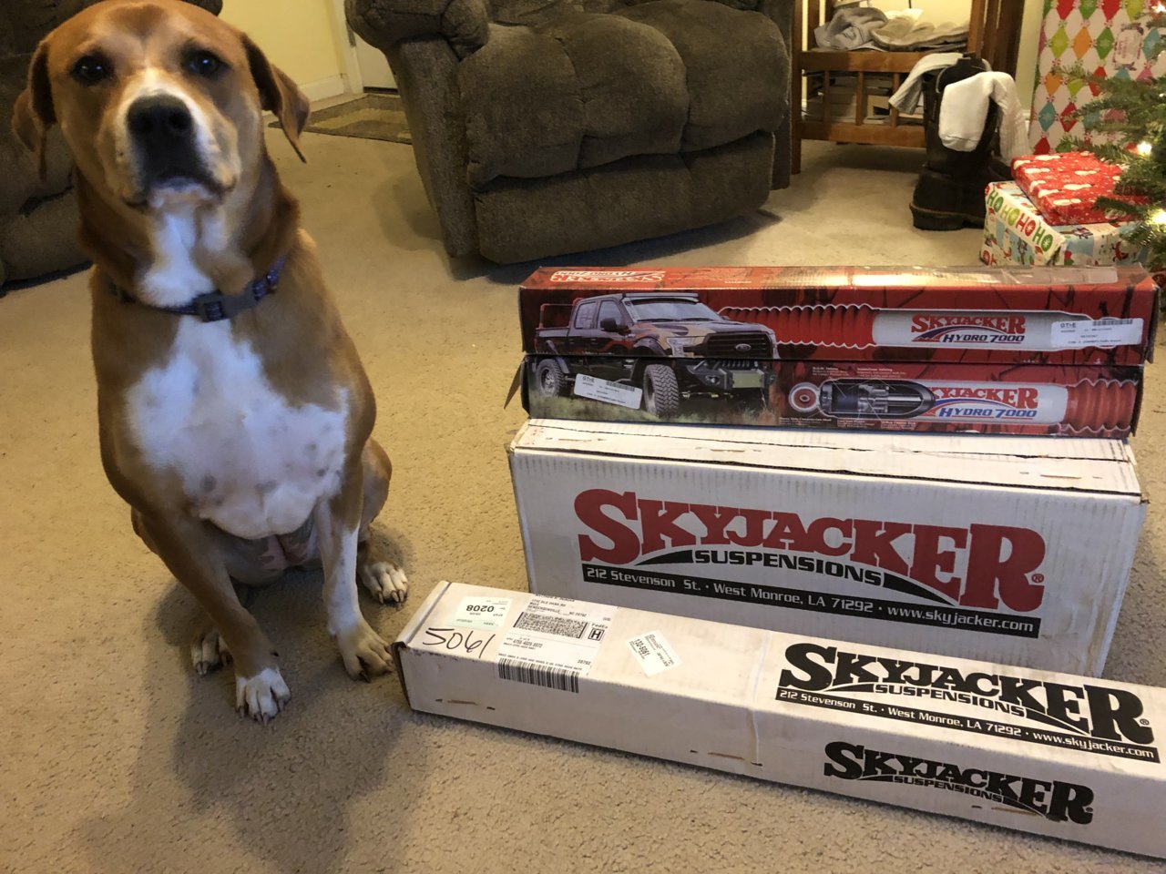 63757DAD-1AB4-4F7E-89B3-37946C52E8B5.jpg