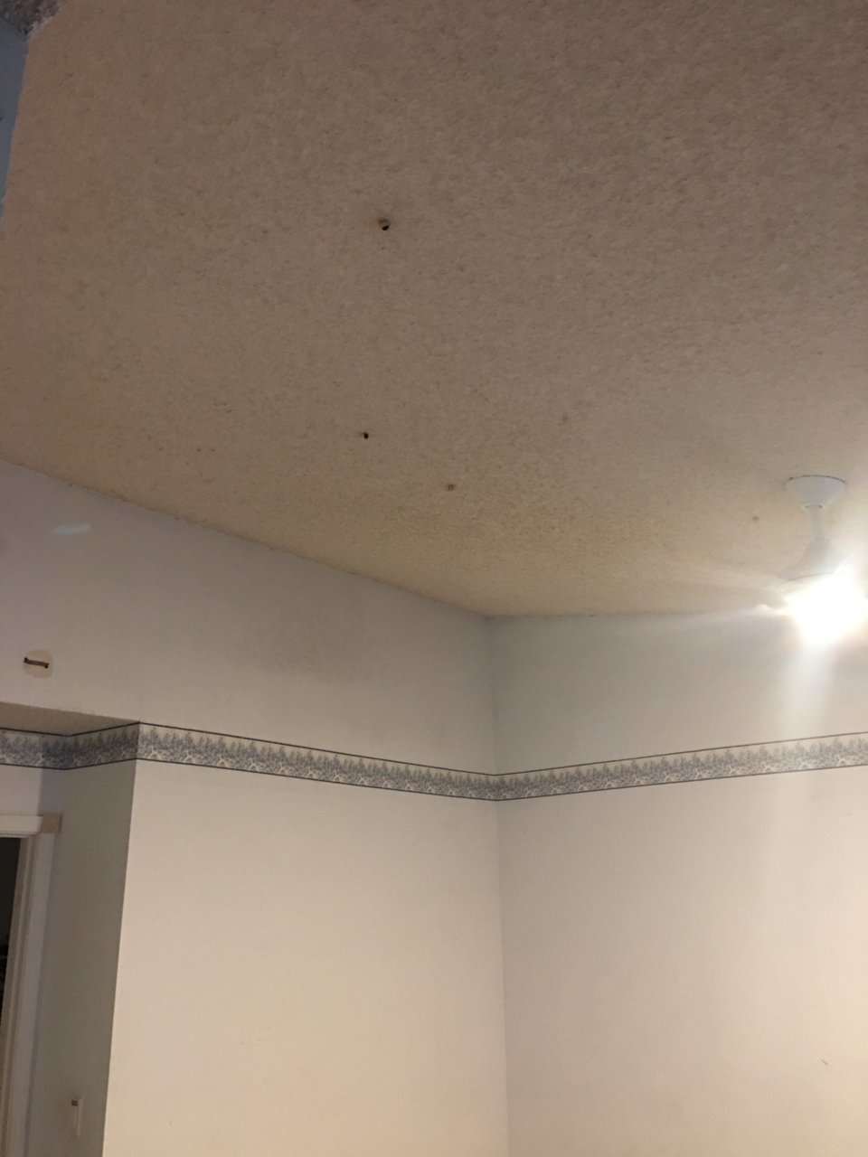 63E2D0FA-C531-4D68-A054-EEB62E7DB627.jpg