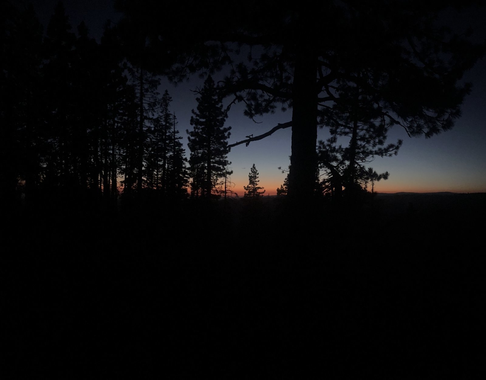 6402F46B-F855-4C1A-85C2-ABEF7F17920A.jpg