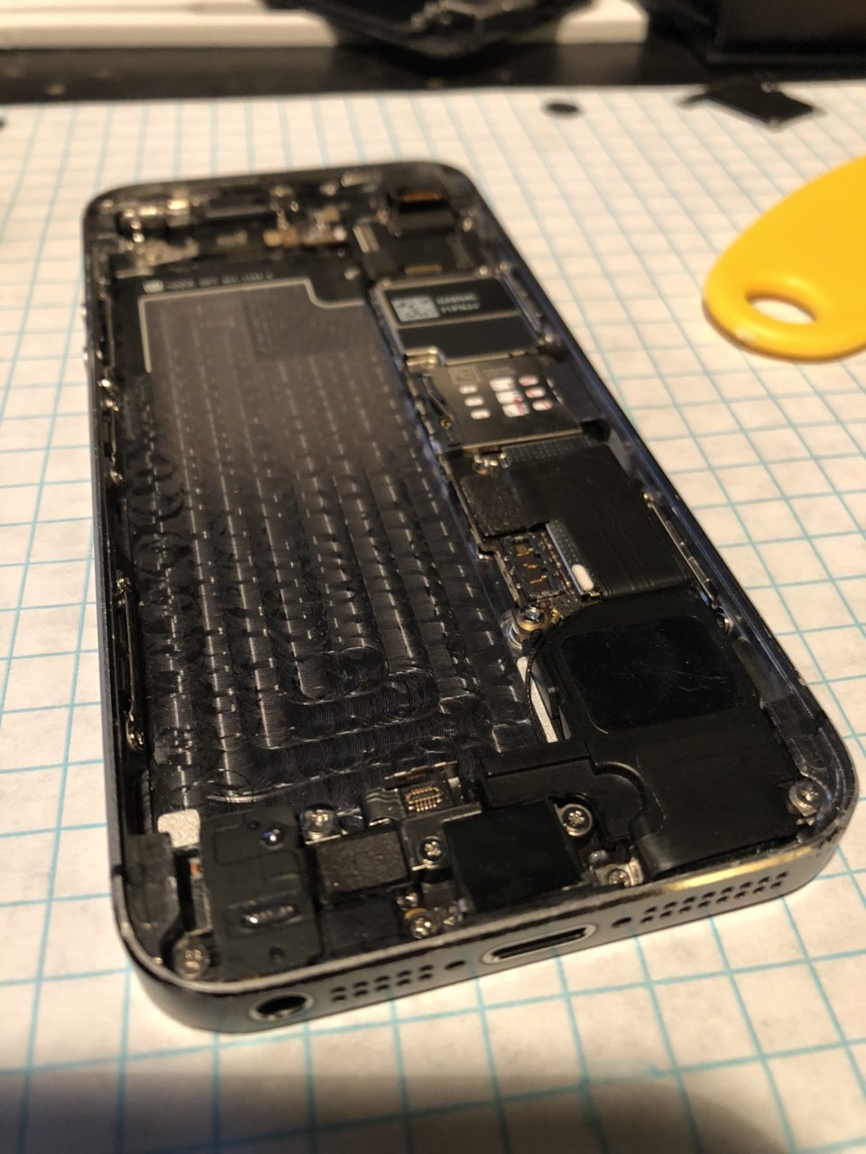 640A6703-1FD8-46FC-94C7-FD78DDF79AFE.jpg