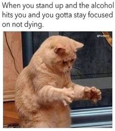 64316c76a5059839f191ac6e853f7e04.jpg