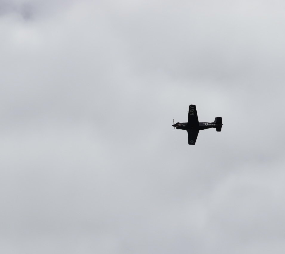 64617533-8B02-4F3E-A066-0BEDFF7F8787.jpg