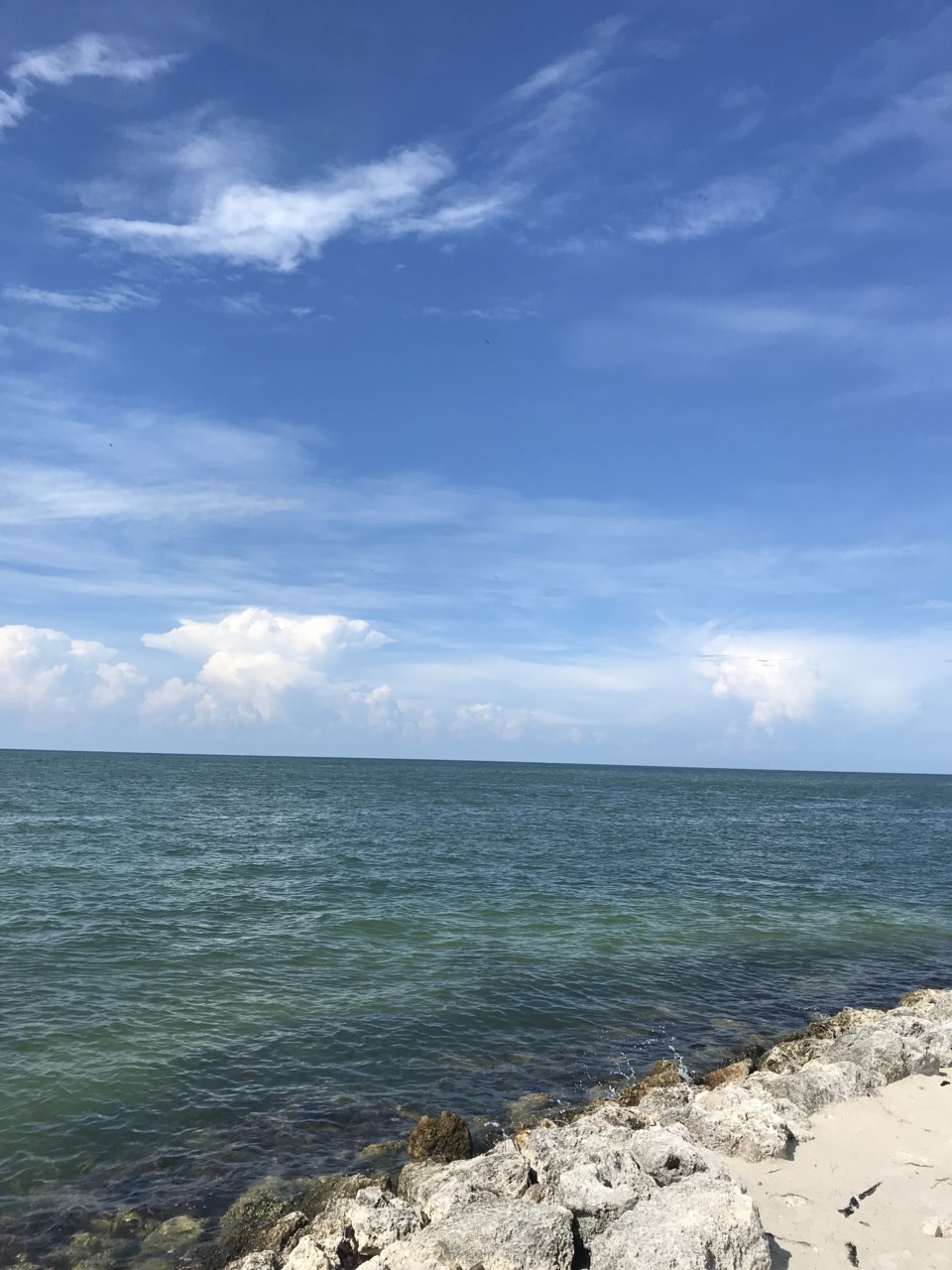 646C0ECE-CB4E-4FED-A7BA-B9C760E673AF.jpg