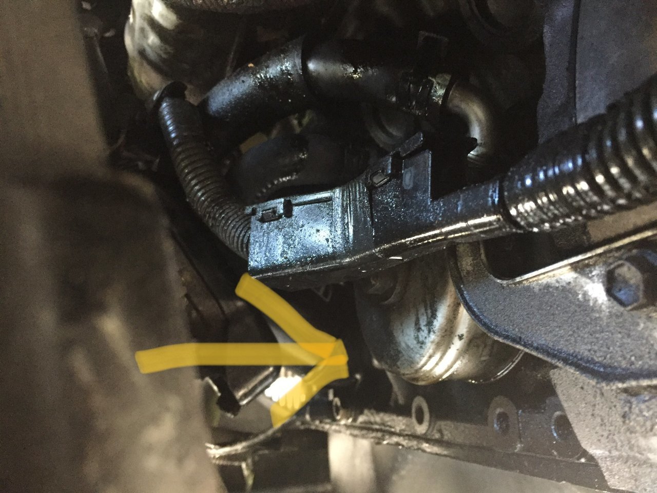 Leaking Oil Cooler | Tacoma World