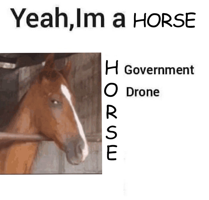 6506efa783e7ca0457425a155b41e142.jpg