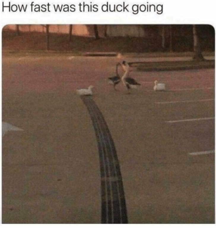 65392345_2595233100489453_5051324956814606336_n.jpg