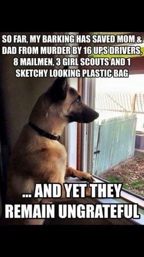65796C14-0BD2-4EB4-AE38-B54234B1DFE3.jpg