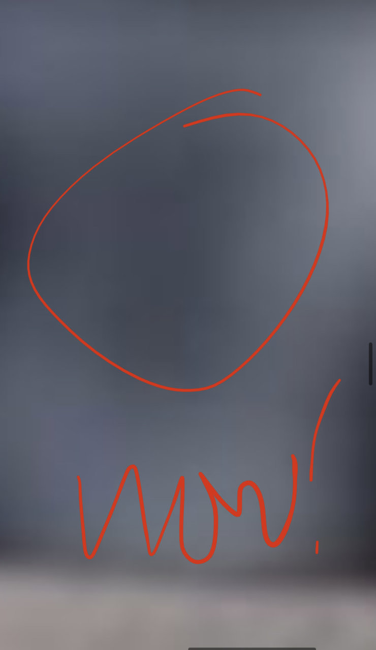 65A2B498-E158-43BE-AC16-3B5DFE186612.jpg