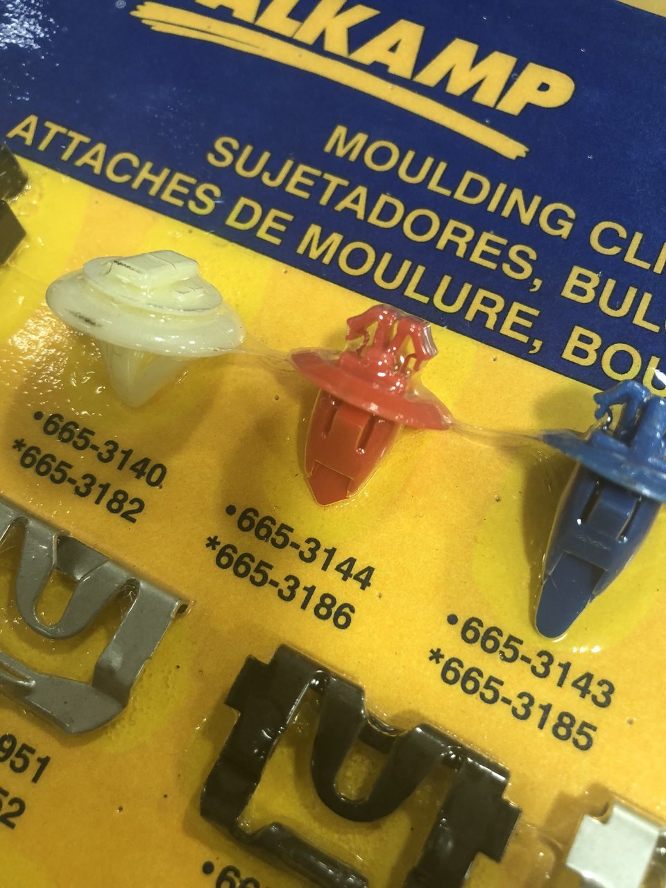 65AC5ABA-7B9D-4C6A-B37D-87A7EABC94E1.jpg