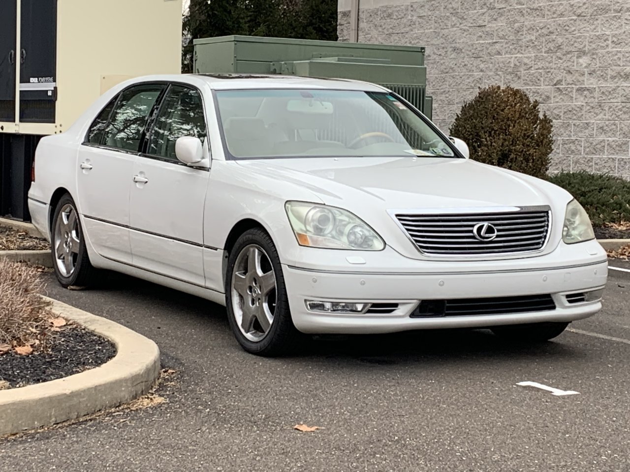 65BD4122-4094-4D36-89D9-E221863CD123.jpg