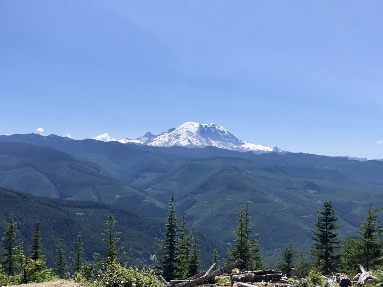 6636EC3D-0439-4105-94D2-1E656A5C801F.jpg