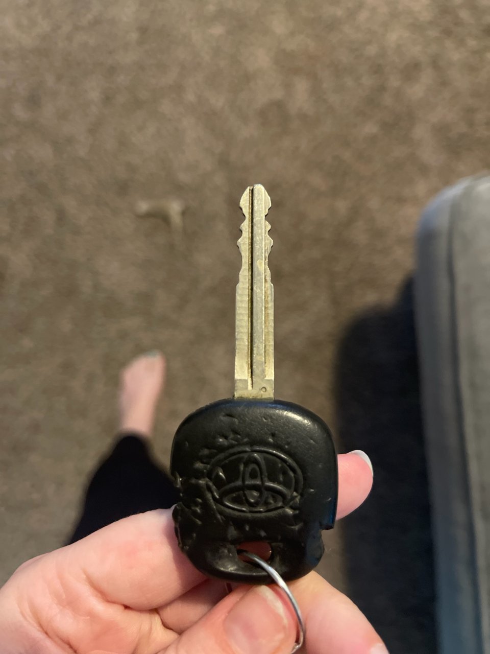 667595547.jpg