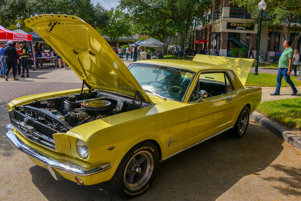 6695A81B-EDF4-4CD6-9EC5-A83BF04077FE.jpg