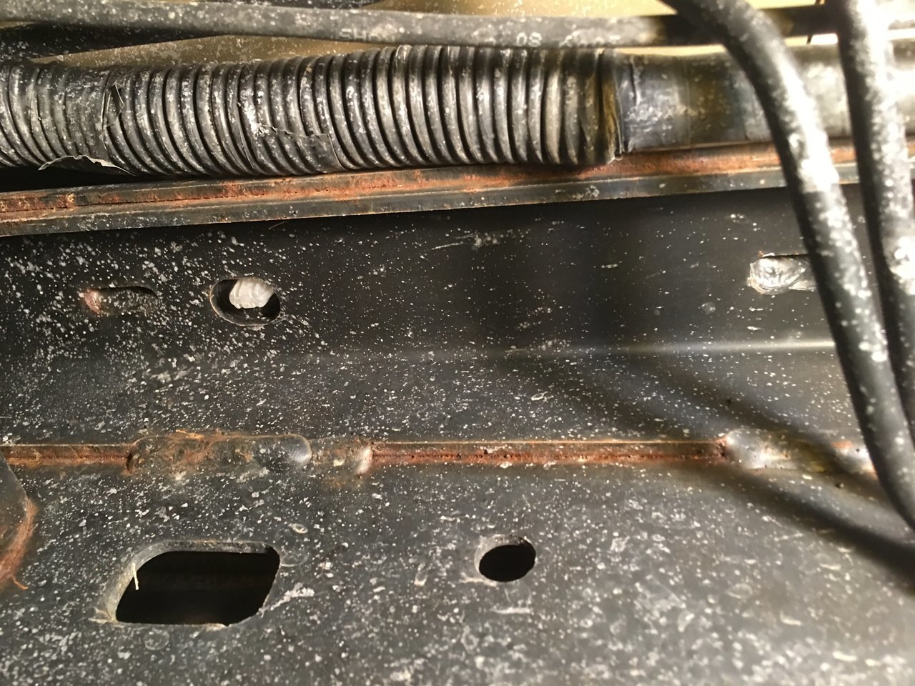 6705ECA5-0BA2-4087-93E2-93D49BD64686.jpg