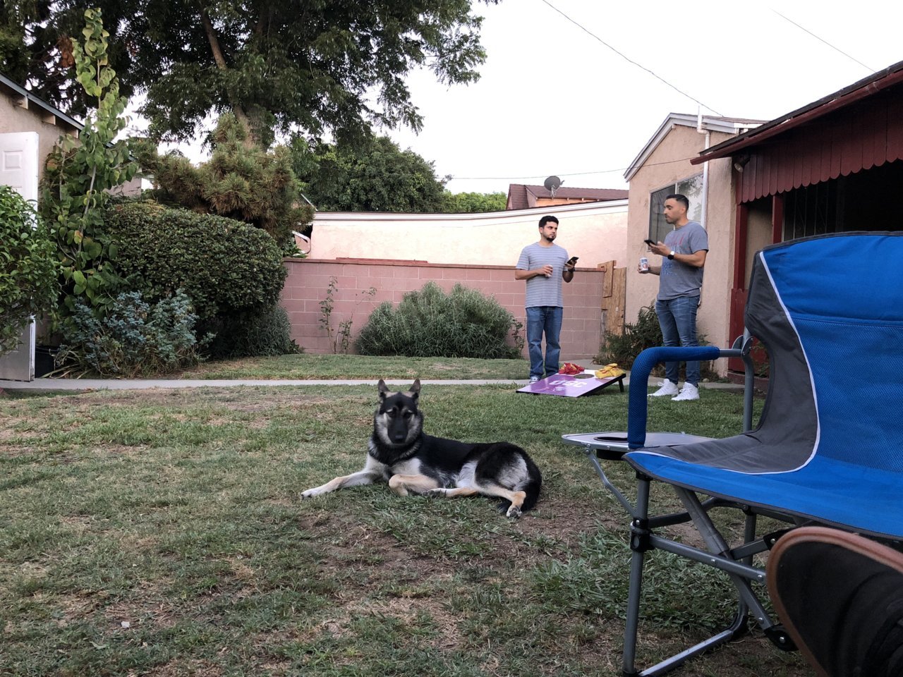 67262AAC-AF04-4864-8963-9D90D114E146.jpg