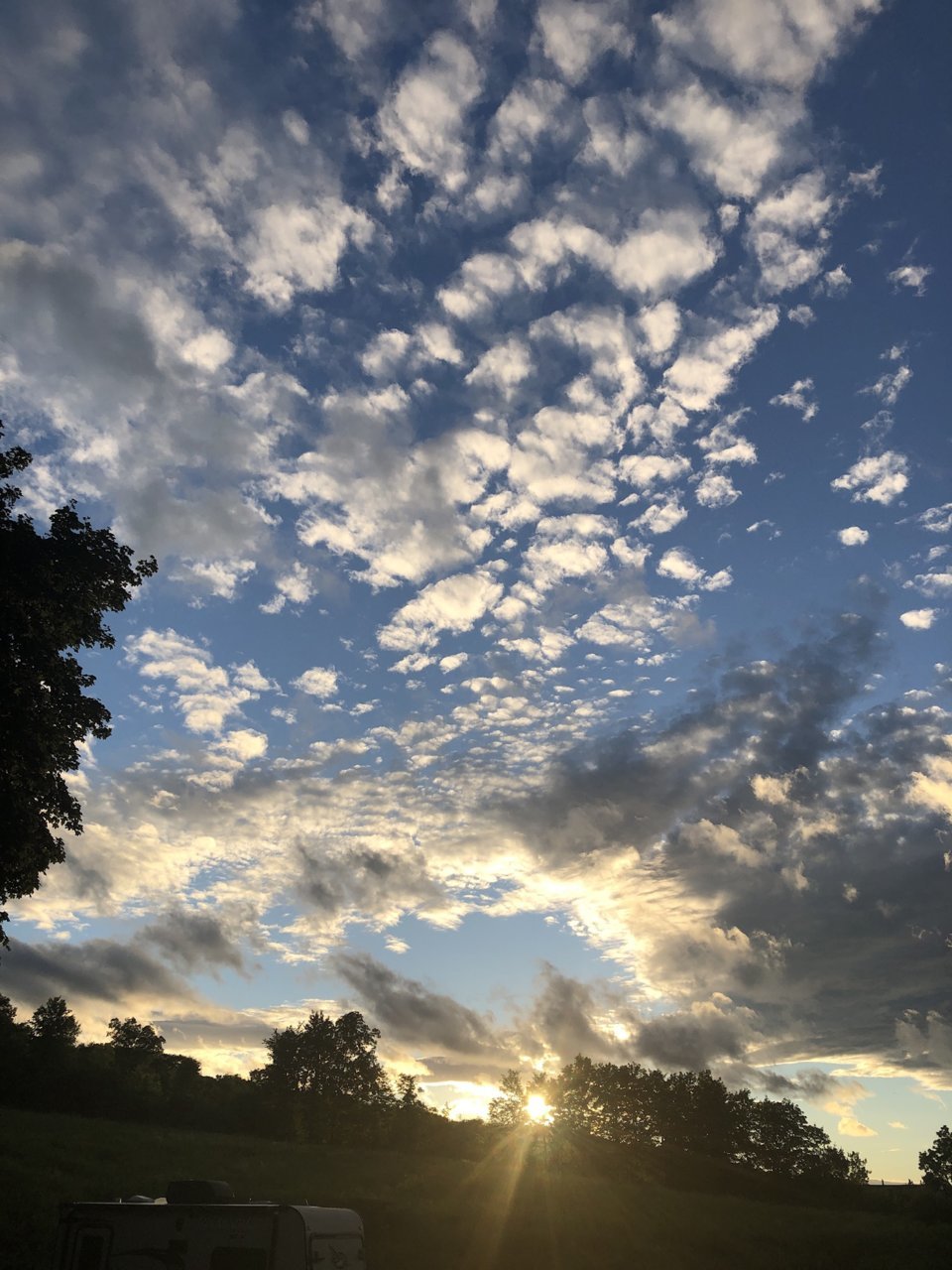 67AC5439-9D0D-4C66-B6A6-C5D17484EE29.jpg