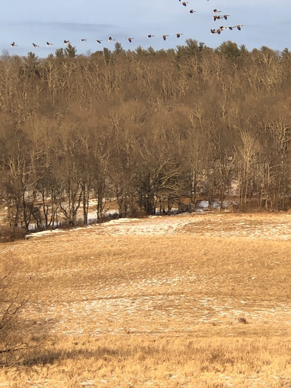 67AC6BE8-D0C3-407E-9EB5-C14C4455B44D.jpg