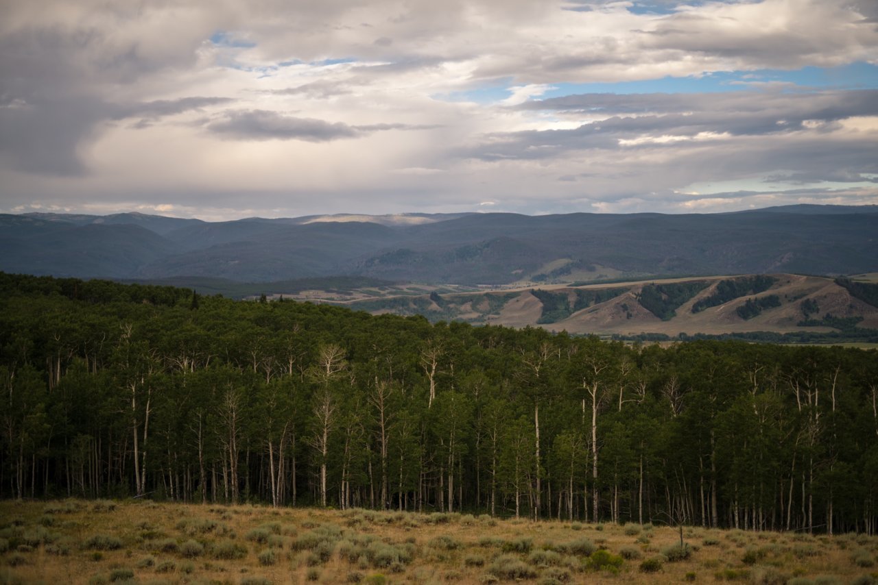 680A7752-BFE0-4D66-8121-6D282E6DA5BB.jpg