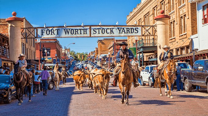 680x380_Herd1_51563364-f0ae-5102-046baabc0000c844.jpg
