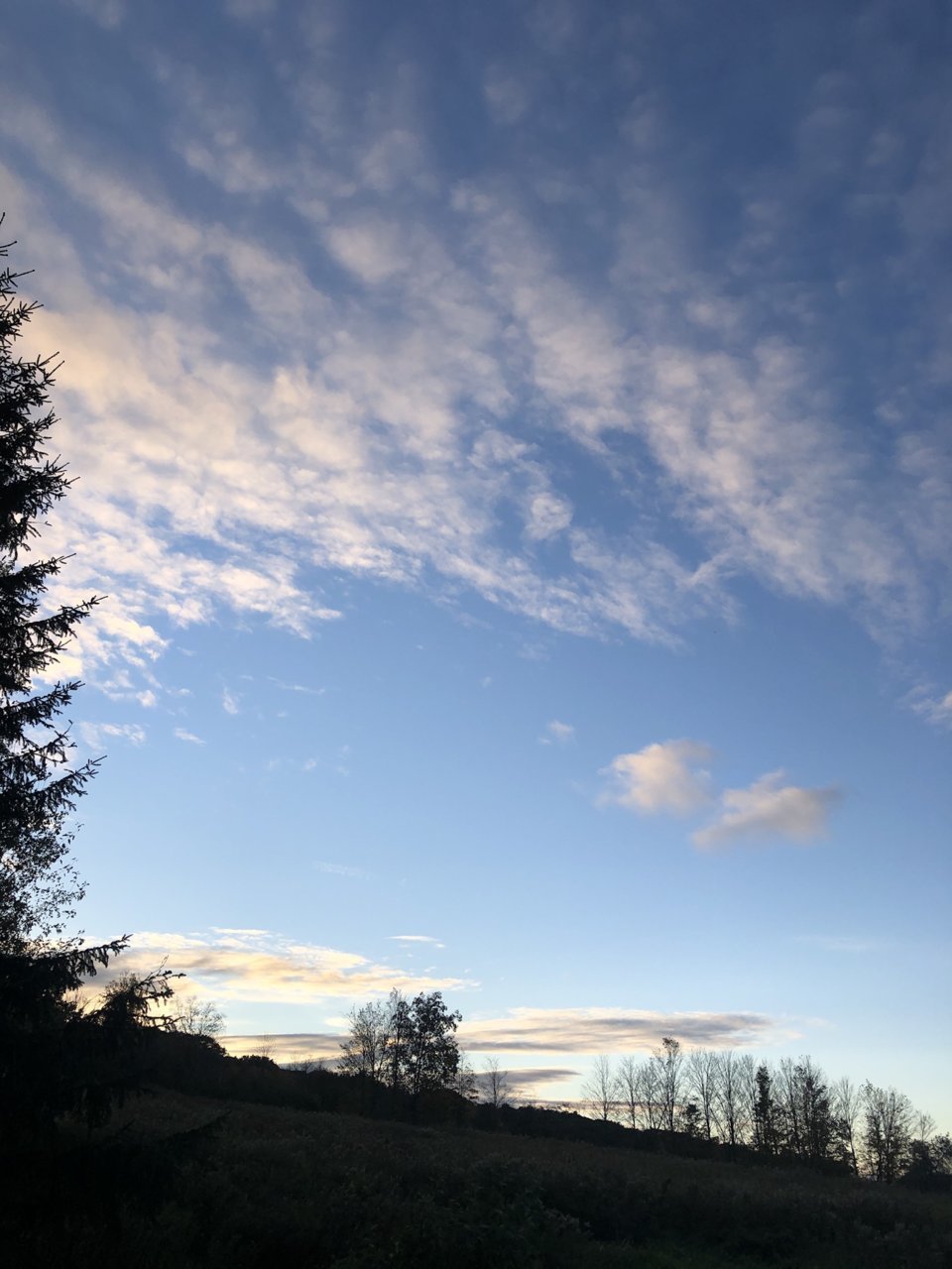 688B6889-F365-4F63-9C85-EFFCD5CE124B.jpg