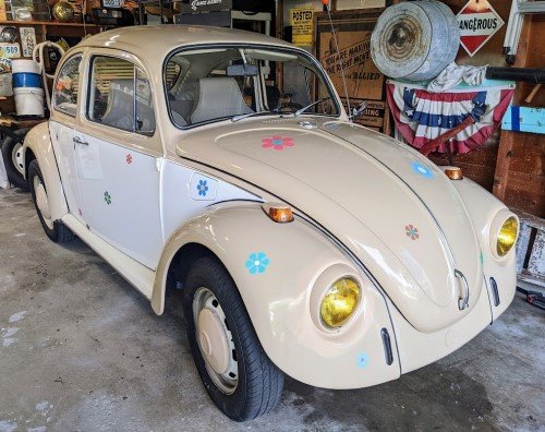 68bug.jpg