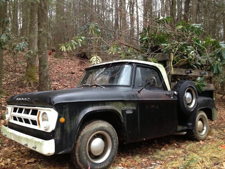 68dodgeute.jpg