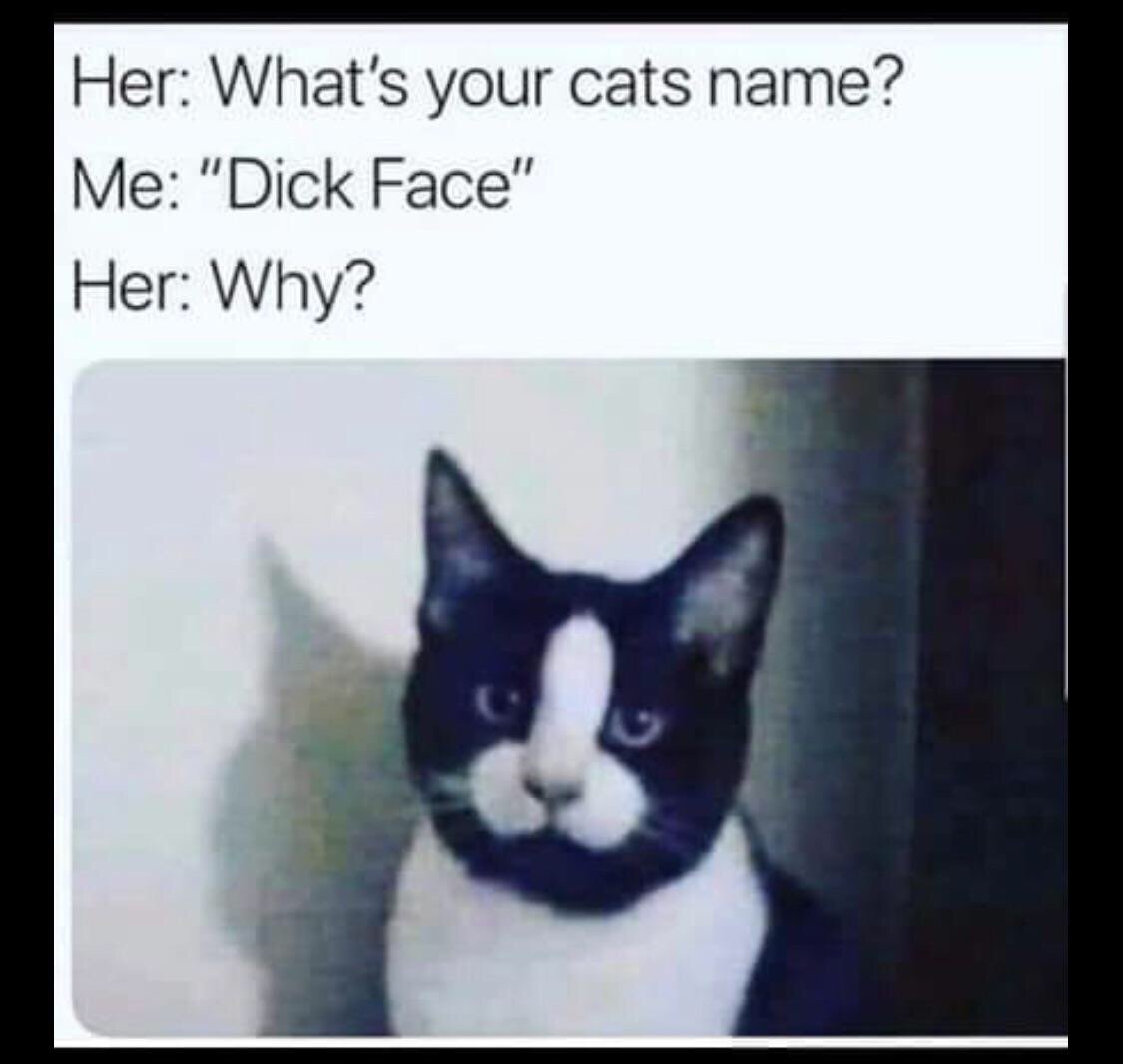 68E6A8D0-D06B-4DEE-9369-94A2EAF838B0.jpg