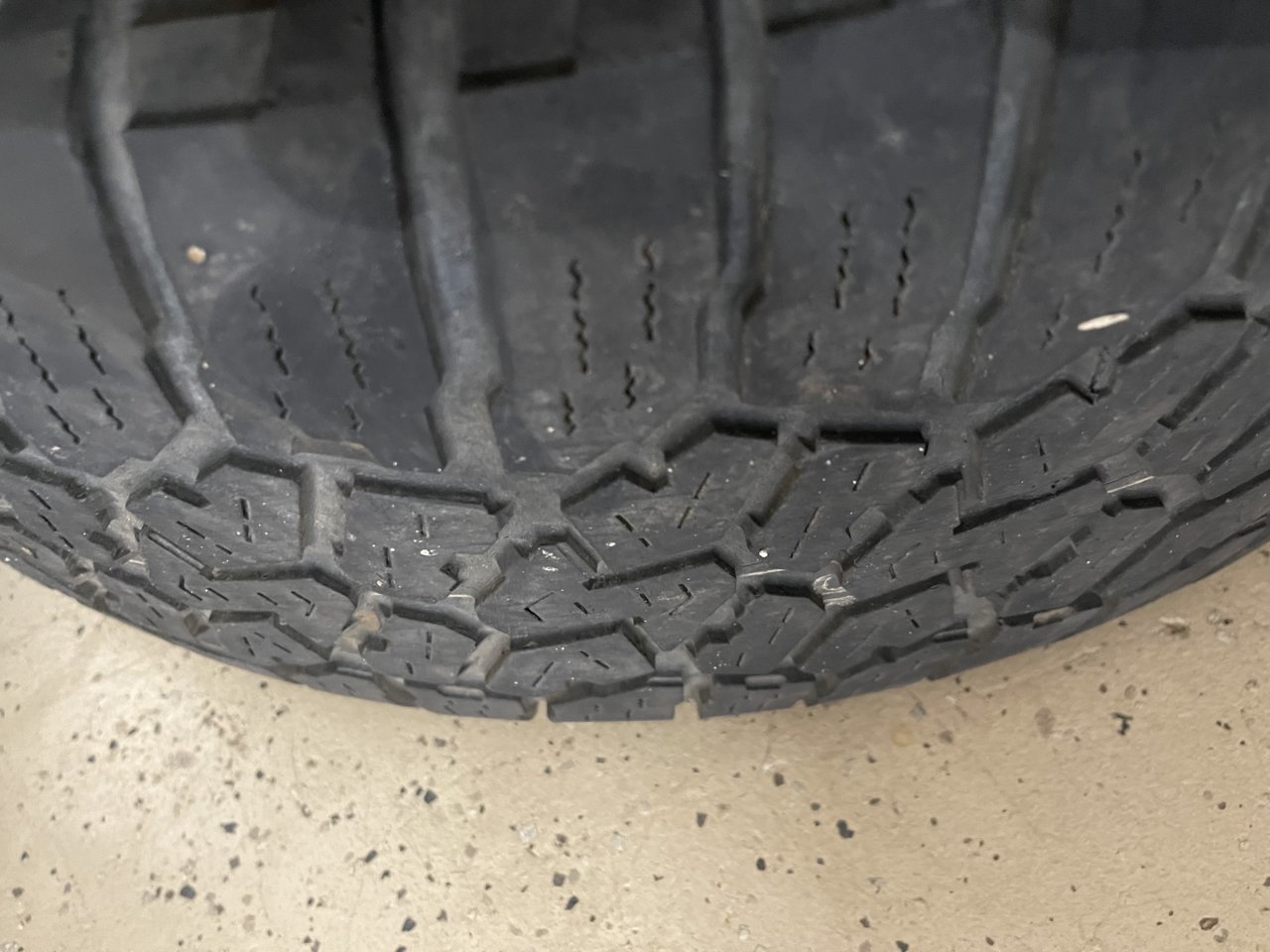 6918EDD6-1CEE-40FD-ACF4-4F848E752C79.jpg