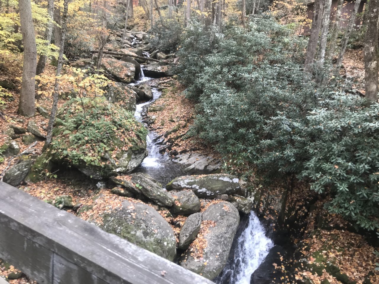 694F0FDF-2D56-4037-AD05-79367AADFD32.jpg