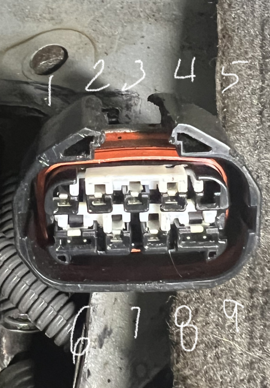 697D2069-DF78-4389-90D4-35C7F8AD178E.jpg