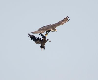 6A119347-8782-4DEA-8921-1EE0CF38BB0A.jpg